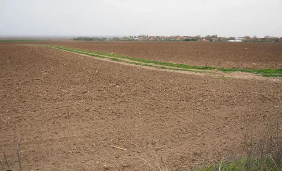 Teren arabil extravilan 10.000 mp (1 Ha) Umbrare?ti, Gala?i (Acte la zi) - 1