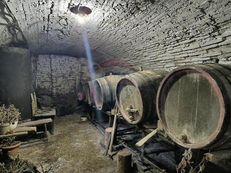 Casa saseasca 3 camere si 1400 mp teren in Brateiu - jud. Sibiu - 10