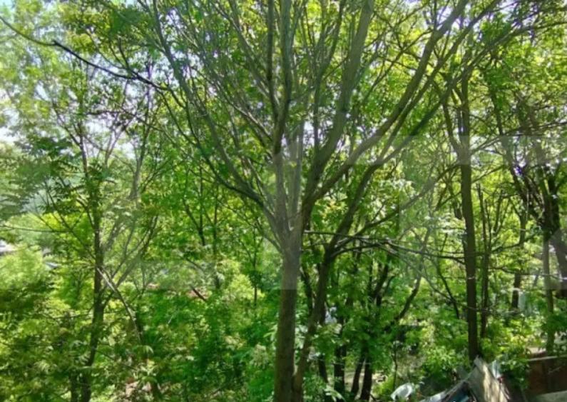 Casa 3 camere 64 mp, 250 mp, Sarariei - 11