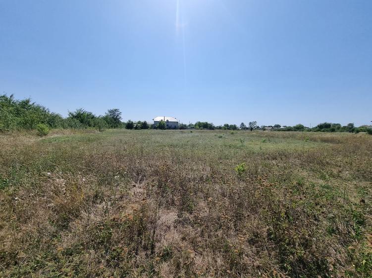 Teren de vanzare in Loc Domnesti - Tudor Vladimirescu - 8