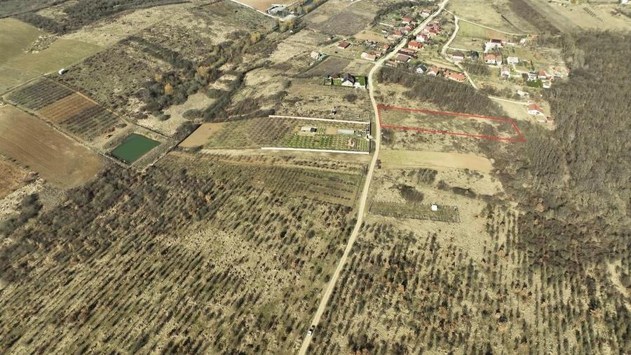 RECO Teren intravilan Paleu - 5