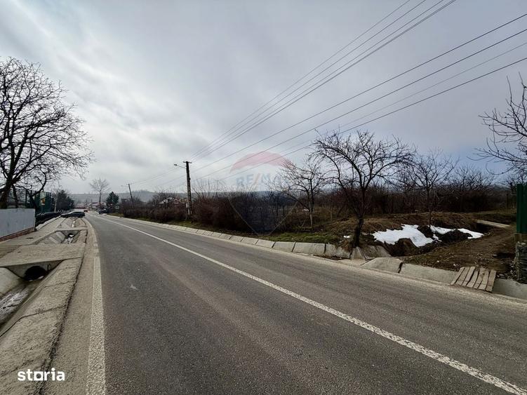 Casa cu 4 camere si teren 7727 mp Blidari - 20