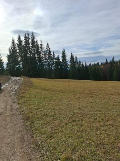 Teren vanzare intro o zona linistita. - 3