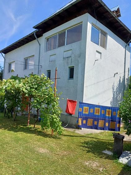 Stefanesti Jud Valcea Casa de Vanzare Curte 3000mp - 9