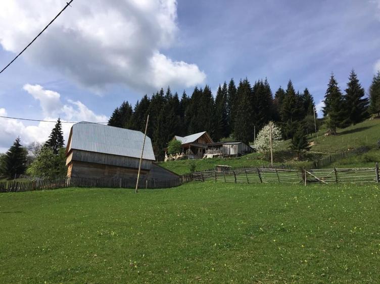 Casa/gospodarie + teren 5.7 ha intravilan Brodina, jud. Suceava - 8