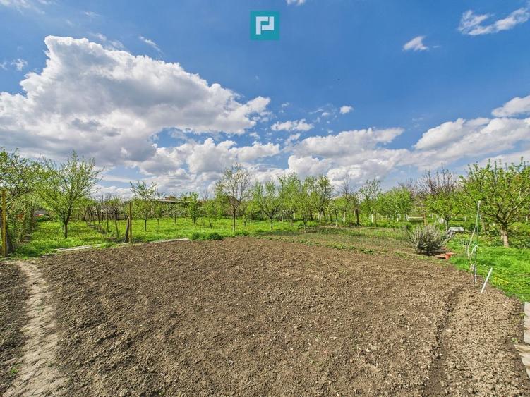 Casă individuală la Beregsău Mare, 2890 mp teren - 31