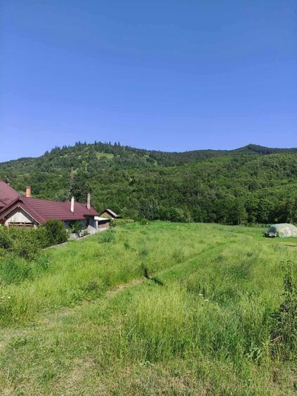 Teren de vanzare, intravilan, 1502 mp, Sat Straja Comuna Tarcau - 2