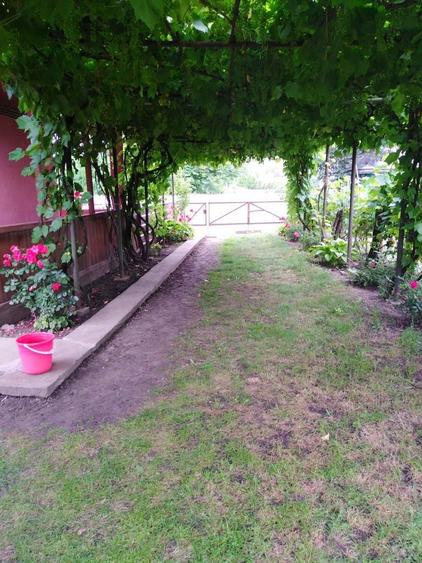 Casa la tara intretinuta, 3 camere + teren generos Trifesti judetul Iasi - 1
