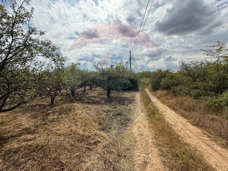 De vanzare Teren 3995mp intravilan Saldabagiu de Munte - 10