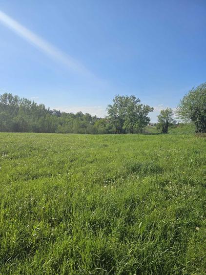 Teren intravilan comuna Botosana, judetul Suceava - 3