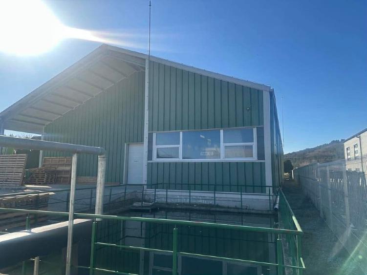 Vanzare hala industriala si spatiu birouri - 6