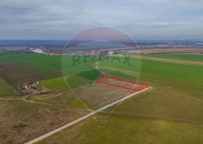 Teren intravilan 10.000 mp in Zona Industriala Sud Arad - 8