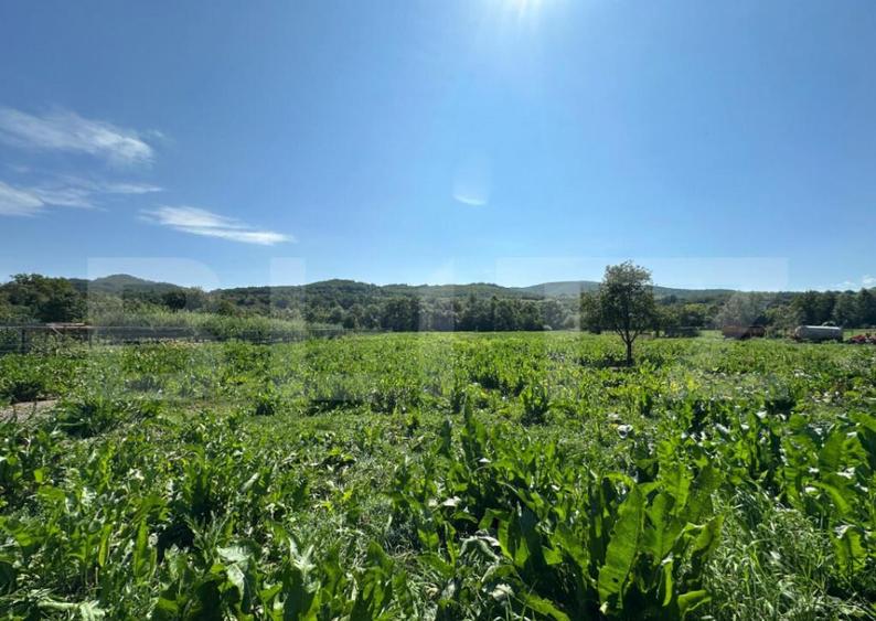 Casa saseasca de vanzare, curte, gradina, teren 3000 mp - Ji - 18