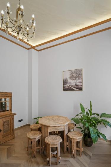 VILA ISTORICA CISMIGIU - COMPLET RENOVATA - 30