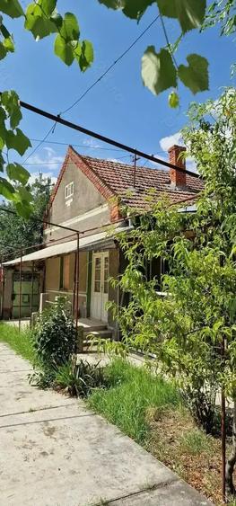 Casa si teren ideal pentru legumicultura - 9