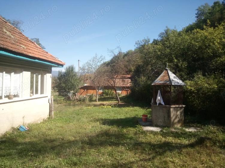 Vand Casa Halmagiu Sat Tisa - 3