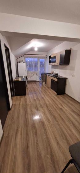 PF Apartament 2 dormitoare 46 mp, parcare, zona Terra - 4