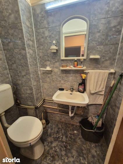 Trapezului-Ozana, 1 Decembrie 1918, Theodor Pallady - 1