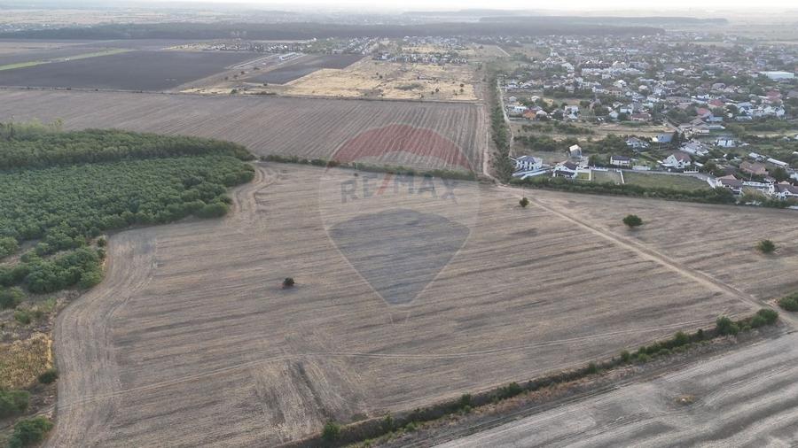 Teren investitie, intravilan Tamasi / Buftea - 4