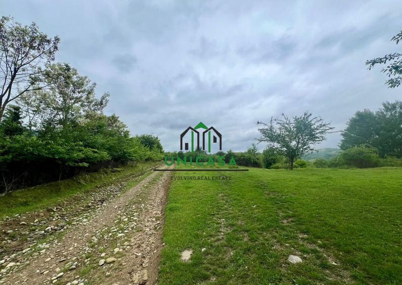 Teren 3507 mp/ Seaca/Calimanesti - 4