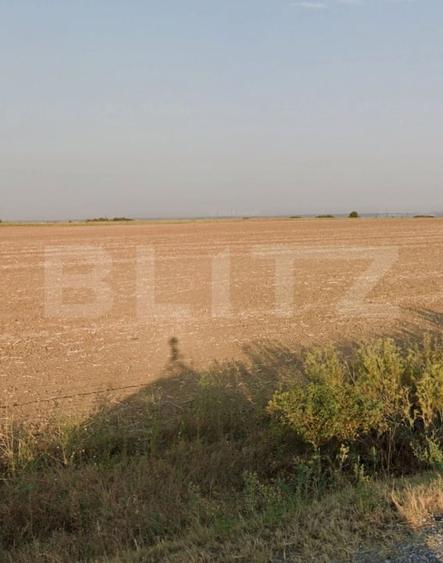 Oportunitate Investitie Teren Deschidere 30mp  ,Carcea, Zona Depozit Lidl - 1