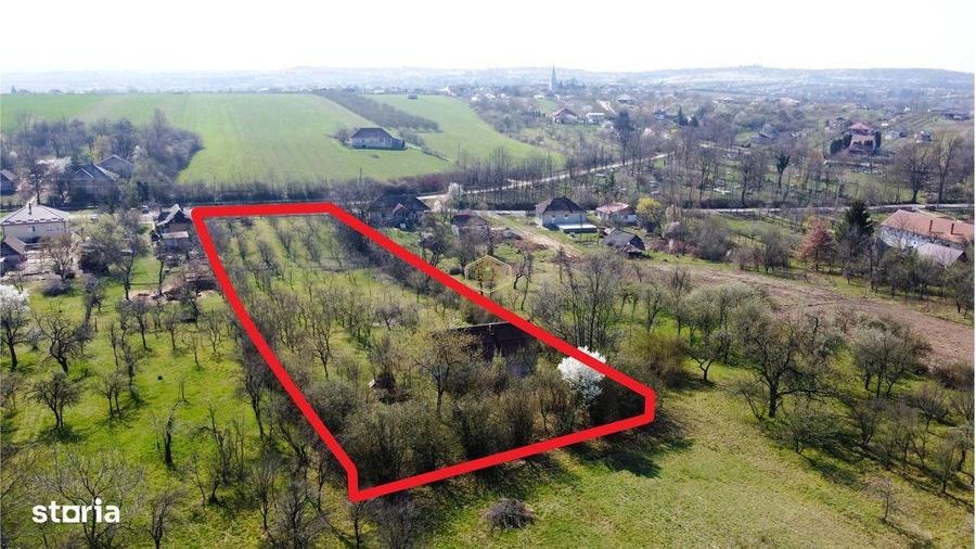 Casa cu 2 camere si livada | Teren 4.395 mp cu alee printre 70 de pomi - 5