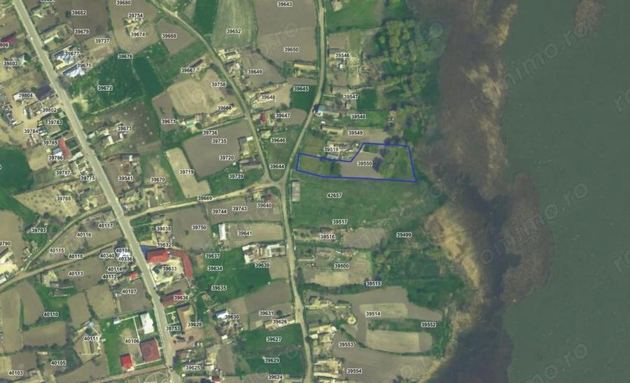 Teren intravilan 4367 mp Salcioara deschidere la lac - 2