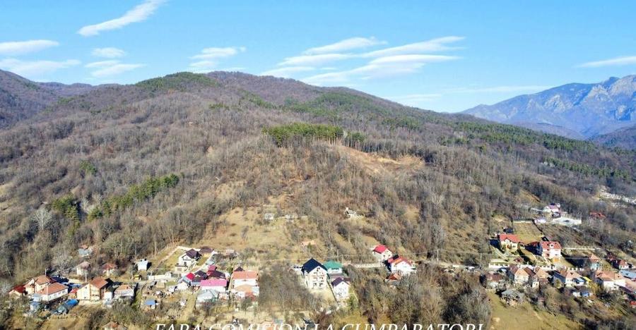 CALIMANESTI, TEREN 1231 MP - 7