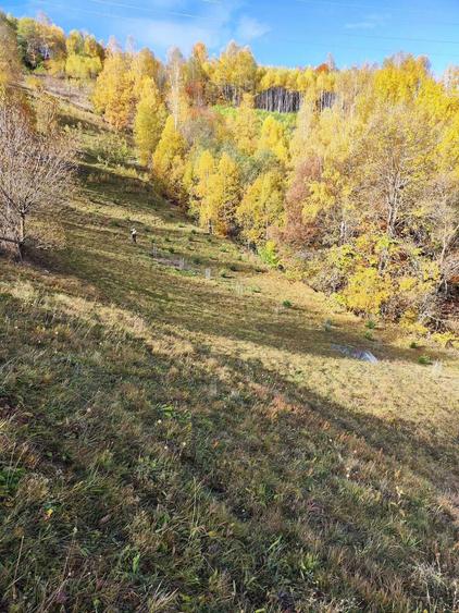 Vand teren intravilan in Bran cu priveliste asupra Muntilor Bucegi - 5