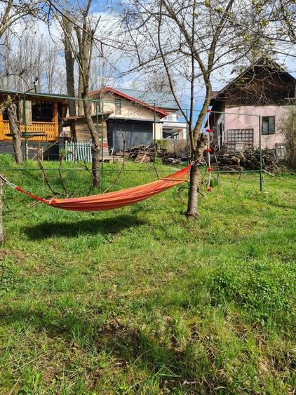 Casa de vanzare Provita de Jos - 6