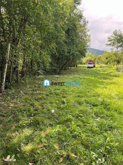 Teren de vanzare la satul de vacanta Dejani - 7