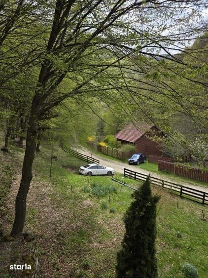 Cabana Iezer Ighiel panorama superba, liniste si potential de inve - 10