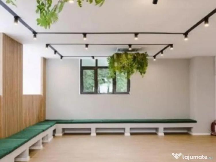 Calea Victoriei I Vila Monument Istoric I Consolidata si Ren - 7