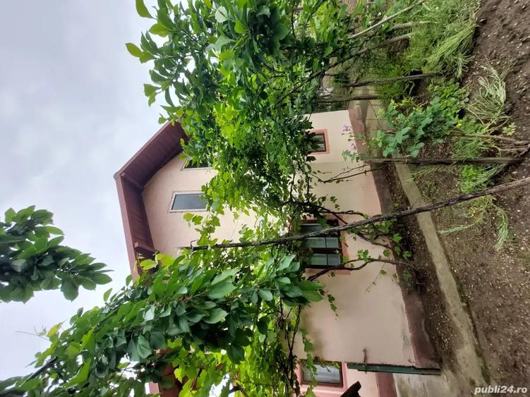 Vand gospodarie Comuna Budesti , Valcea - 5