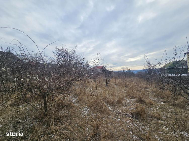 Teren Barnova-Pietrarie - 1