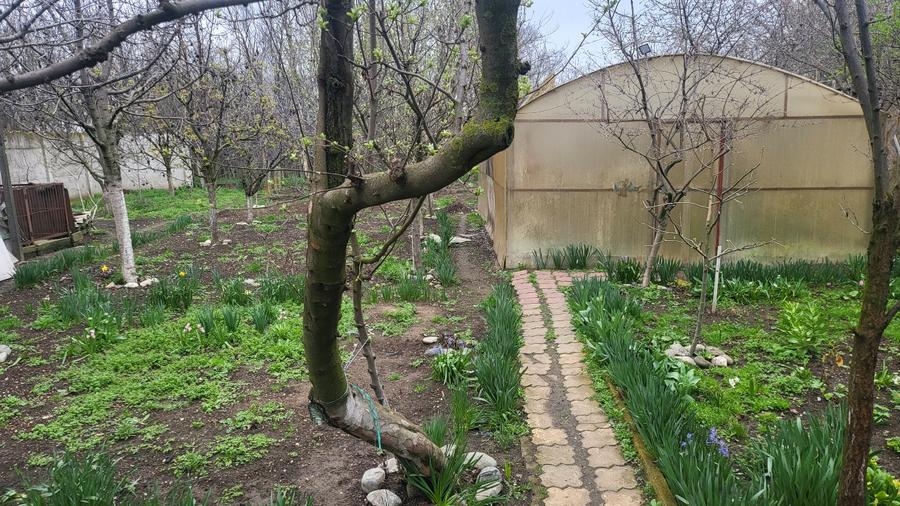 Casa  toate utilitatile Rosiorii de Vede  - 14