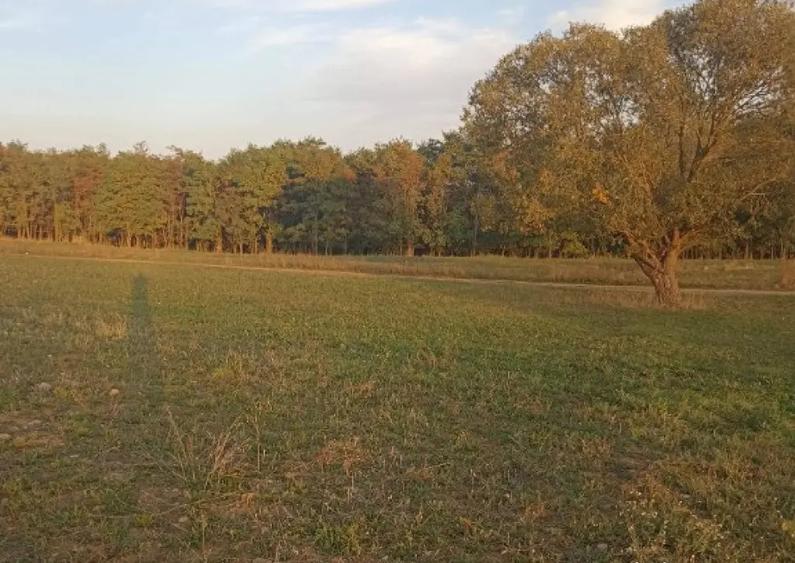 De vanzare teren extravilan langa Arcus - 6