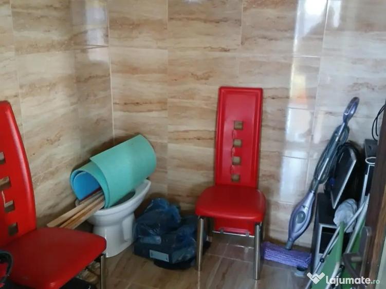 Vand casa sat Campu Mare,comuna Albeni - 9