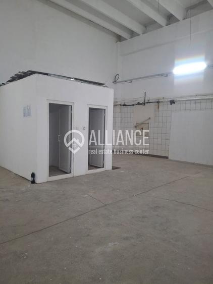 ZONA INDUSTRIALA (COD04)-Hala 270 mp ideal service auto - 4