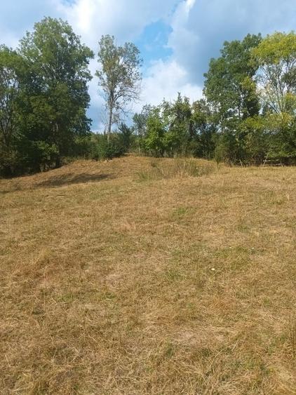 Teren de vanzare Coebeni-Turburea-Arges - 4