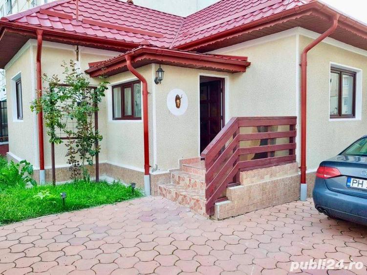 Casa Bunicii Sinaia - 9