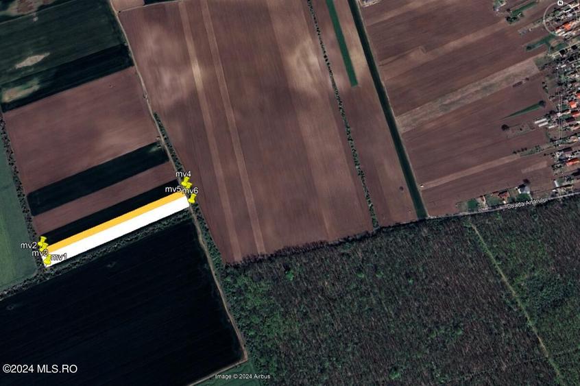 Moara Vlasiei - langa Padurea Biglaru, 11.884 mp, deschidere 40 ml! - 12