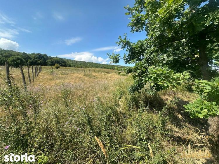 Teren intravilan de 576 mp de vanzare pe drumul DC59 , Haieu - Bihor - 4