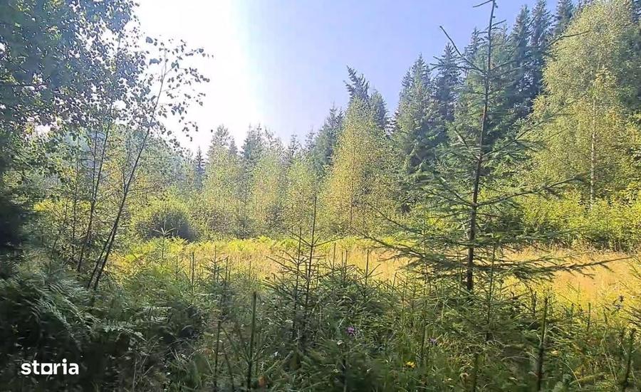 Vatra Dornei - Saru Dornei, Teren S = 6450 mp; 13 km de Vatra Dornei - 5