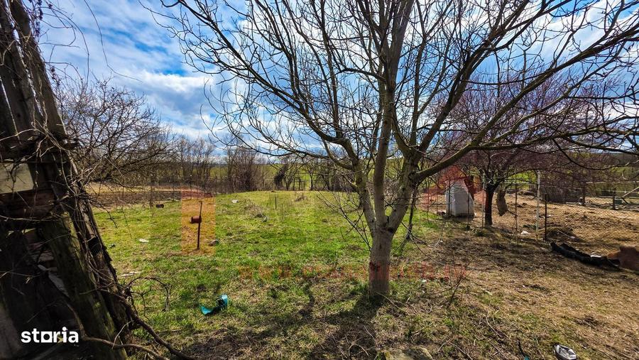 Ocazie: Casa cu Teren Generos de 790 mp in Marpod, jud. Sibiu |VIDEO - 15
