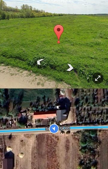 Teren de vanzare in Com.Olteni Jud.Teleorman - 2