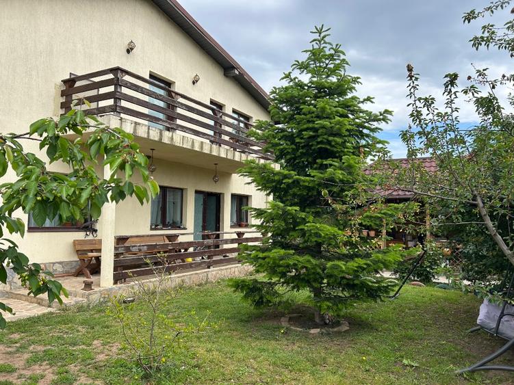 Casa  P+1   - 1