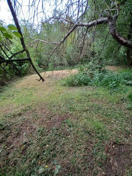 De vanzare casa batraneasca cu teren generos in Poiana Golului Re?i?a - 6
