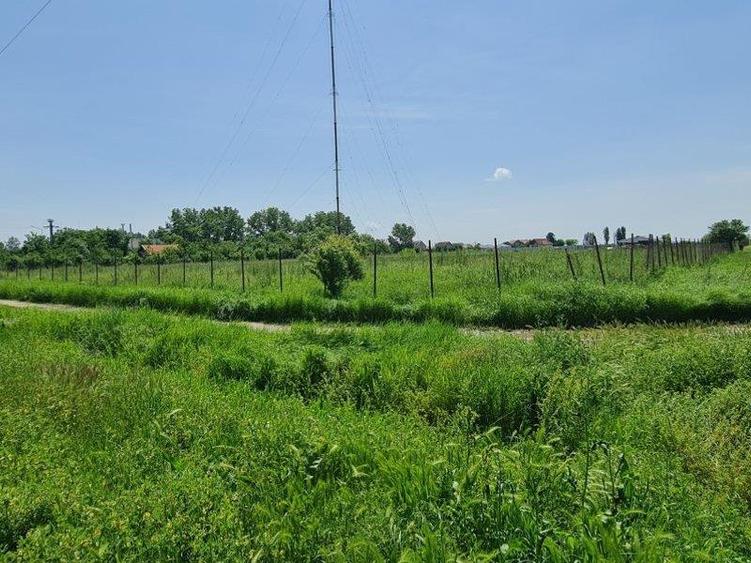 Teren intravilan 10.000mp cu utilitati, imprejmuit, Loc. Sanleani langa Amatex - 9