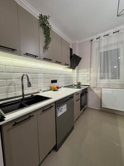 Apartament 2 Camere LUX Parc Tineretului - 6